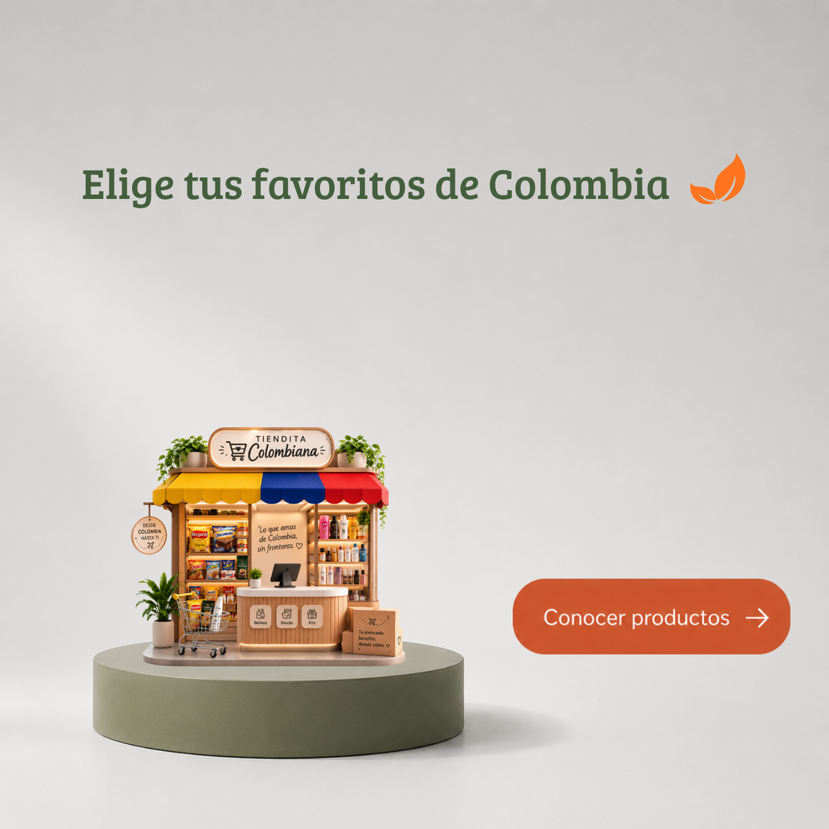EXPLORAR TODOS